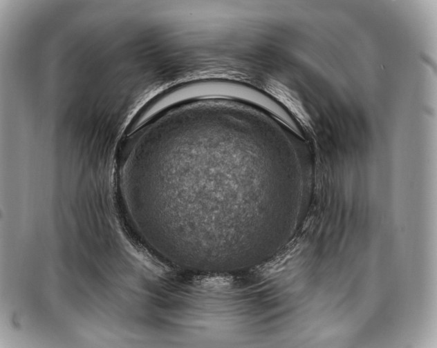 X0000096940156200802081214