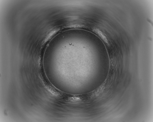 X0000096940159200802081214