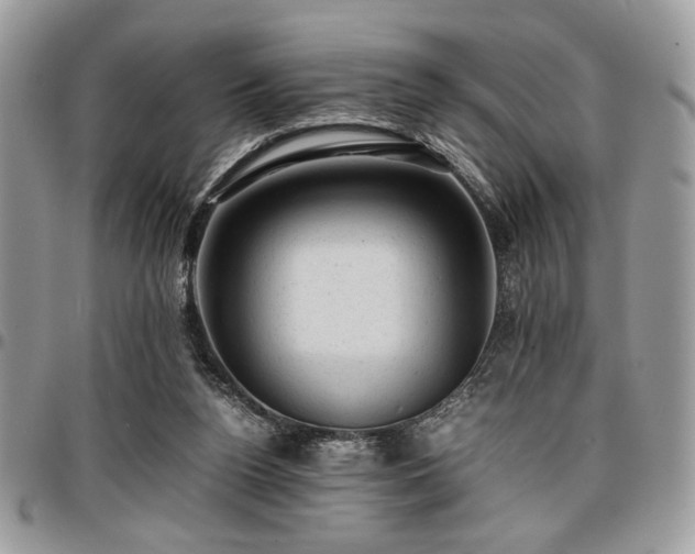 X0000096940160200802081214