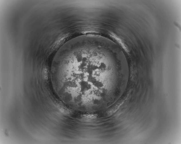 X0000096940161200802081214