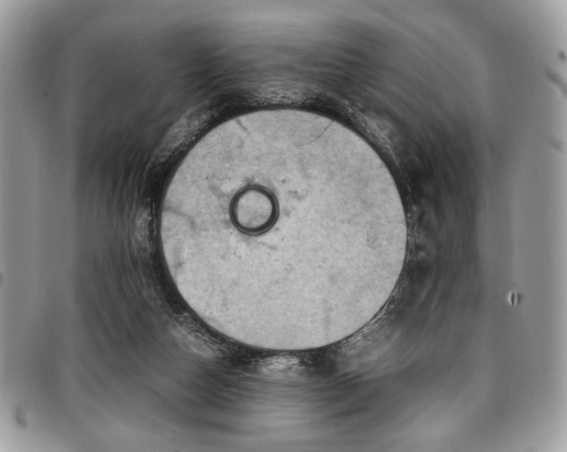 X0000096940162200802081214
