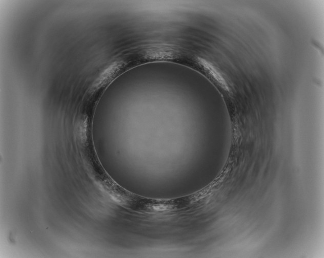 X0000096940163200802081214