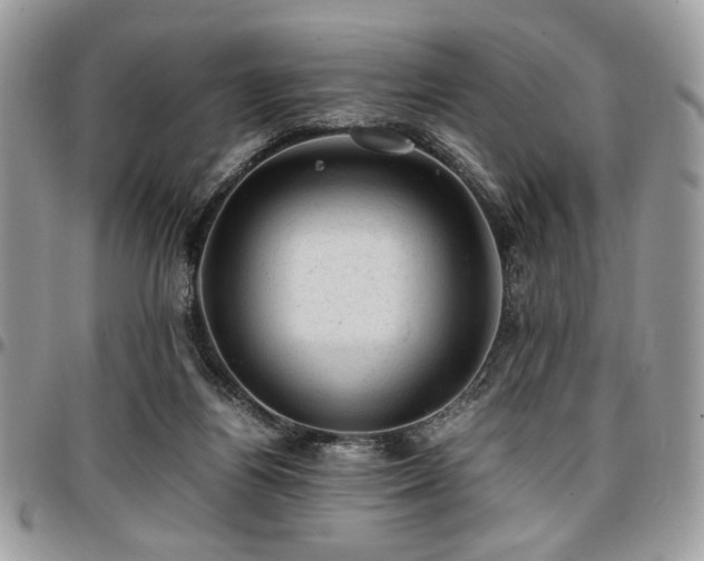 X0000096940164200802081214