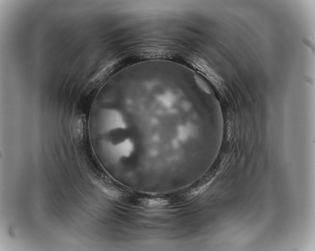 X0000096940165200802081214