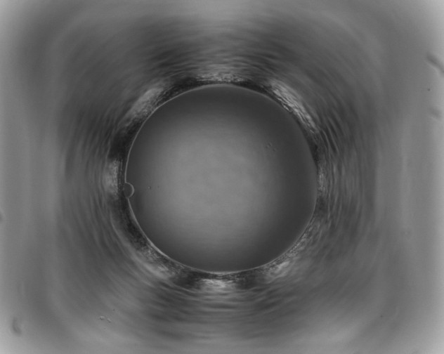X0000096940167200802081214