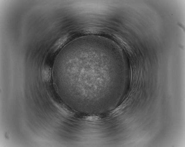 X0000096940168200802081214