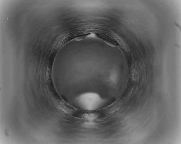 X0000096940169200802081214