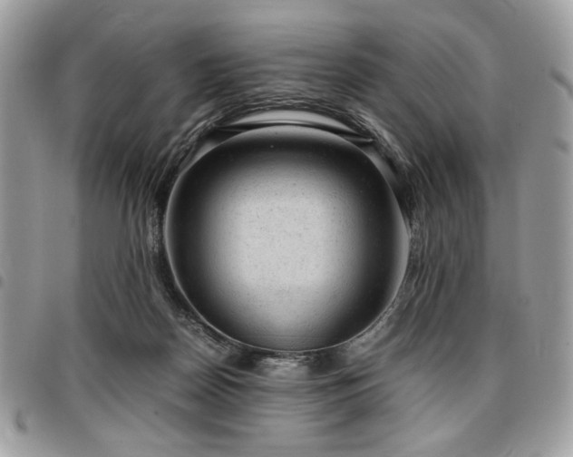 X0000096940170200802081214