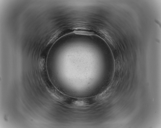 X0000096940171200802081214