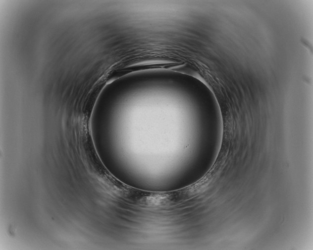 X0000096940172200802081214