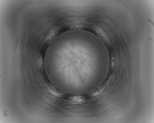 X0000096940173200802081214
