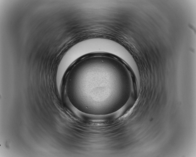 X0000096940174200802081214
