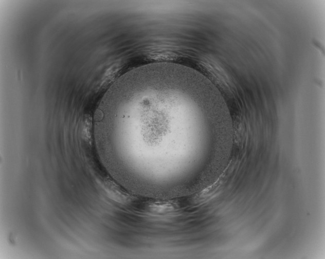 X0000096940175200802081214