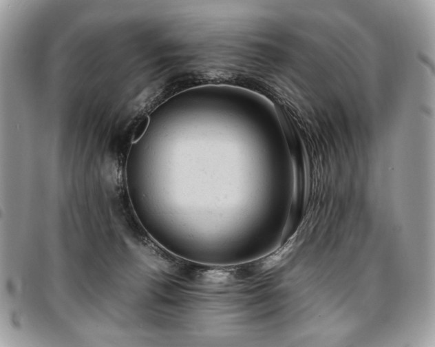X0000096940176200802081214