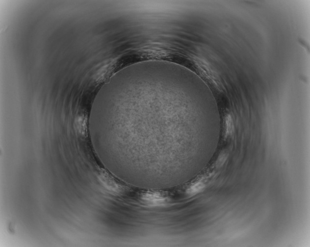 X0000096940177200802081214