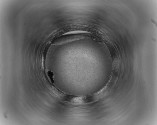 X0000096940178200802081214
