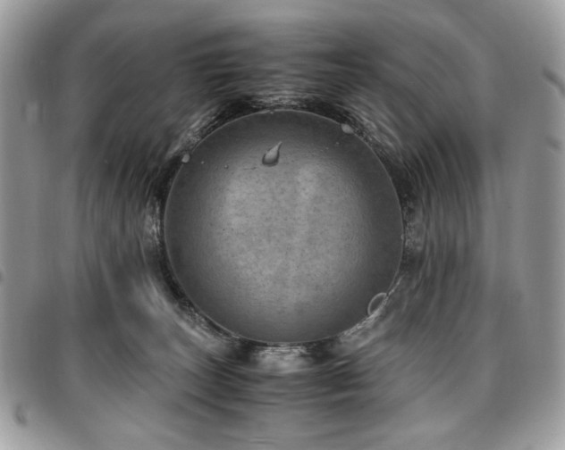 X0000096940179200802081214