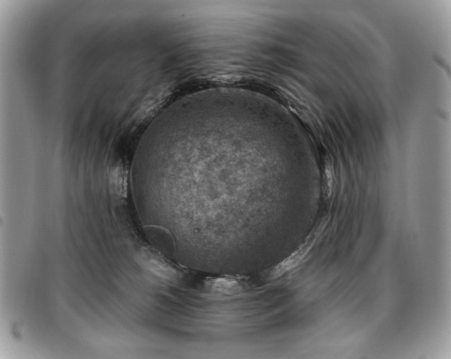 X0000096940180200802081214