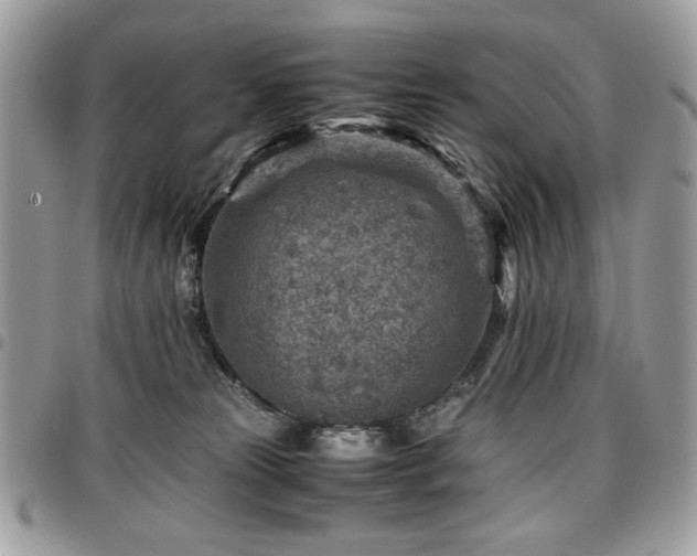 X0000096940181200802081214