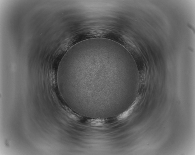 X0000096940182200802081214