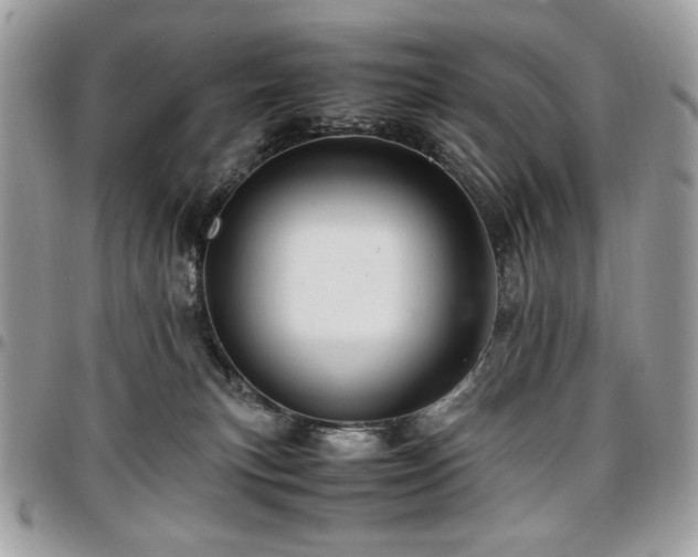 X0000096940183200802081214