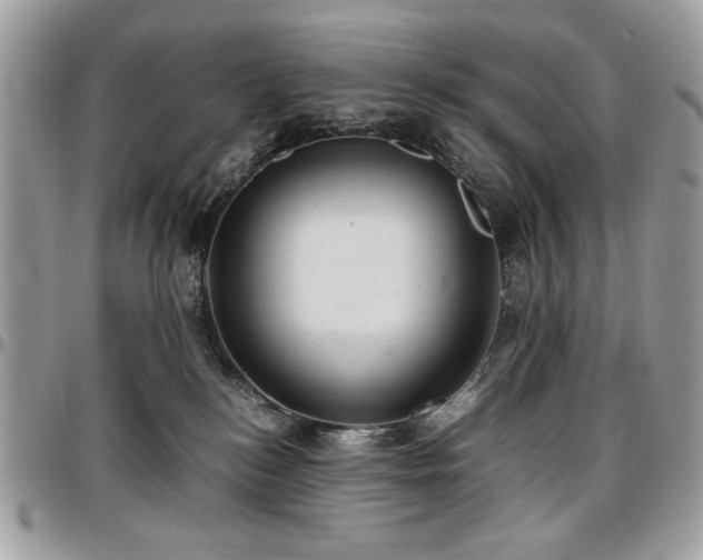X0000096940184200802081214