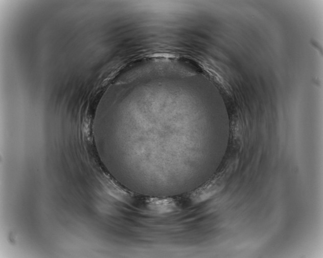 X0000096940185200802081214