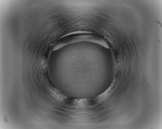 X0000096940186200802081215