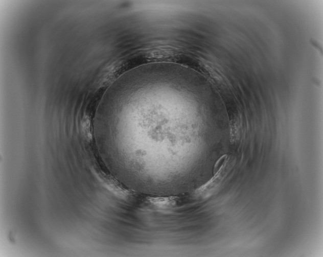 X0000096940187200802081215