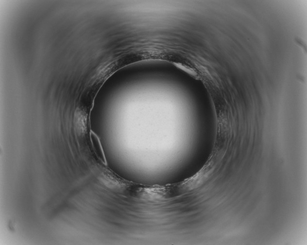 X0000096940188200802081215