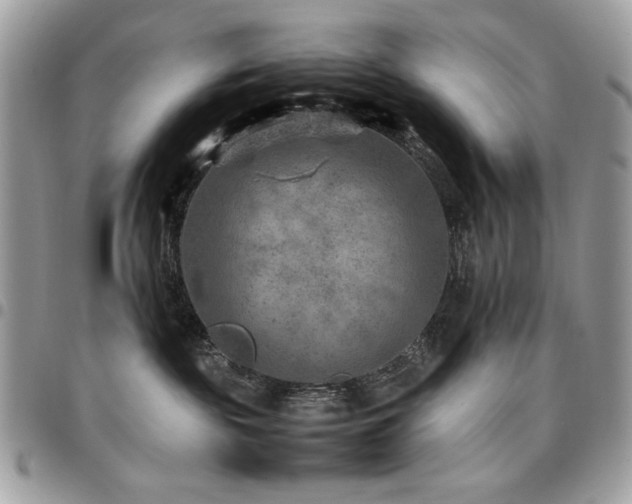 X0000096940189200802081215