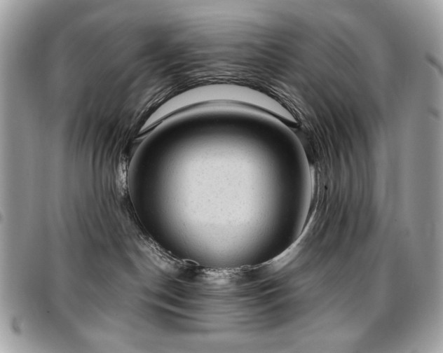 X0000096940190200802081215
