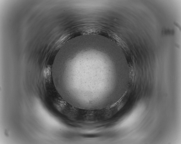 X0000096940191200802081215