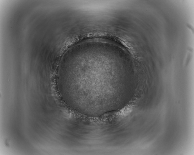 X0000096940192200802081215