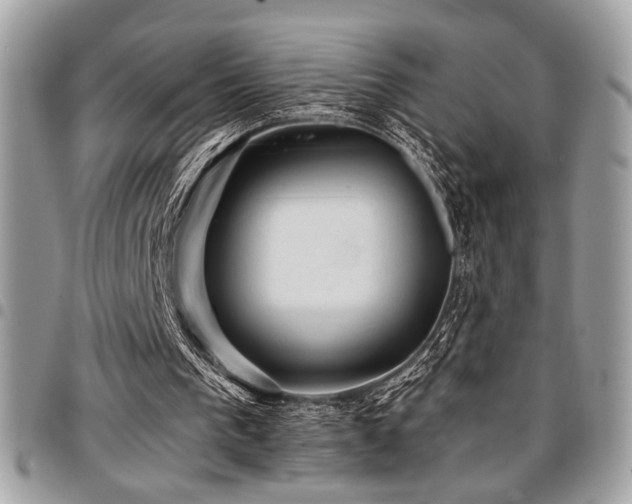 X0000096940193200802081214