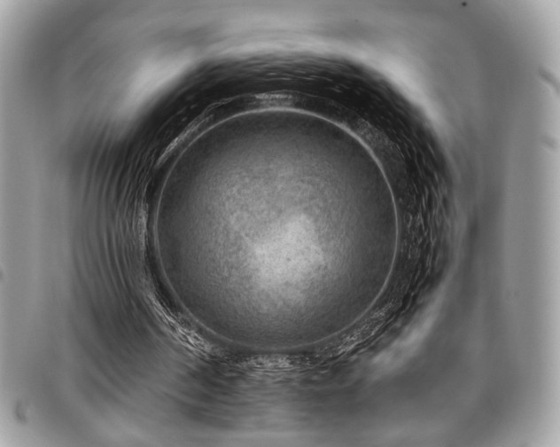 X0000096940194200802081214