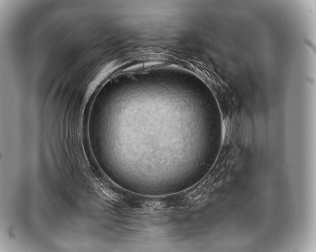 X0000096940195200802081214