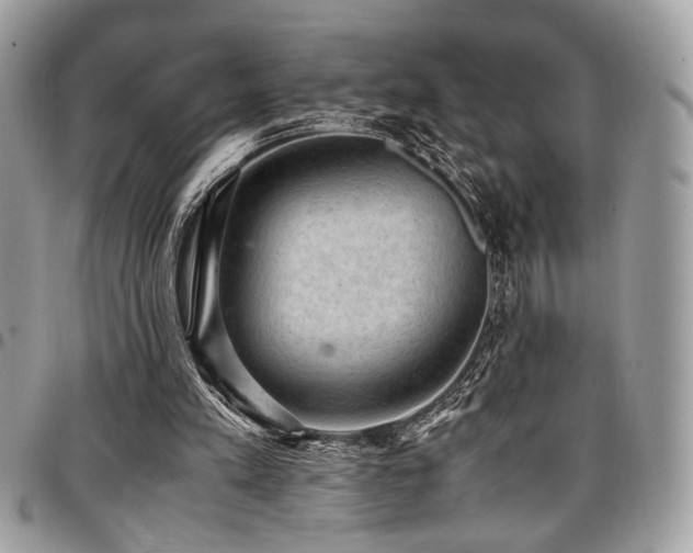 X0000096940197200802081214