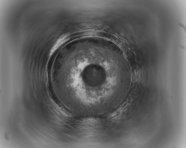 X0000096940198200802081214