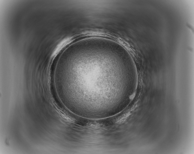 X0000096940199200802081214