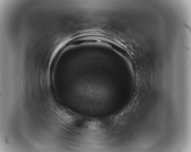 X0000096940200200802081214