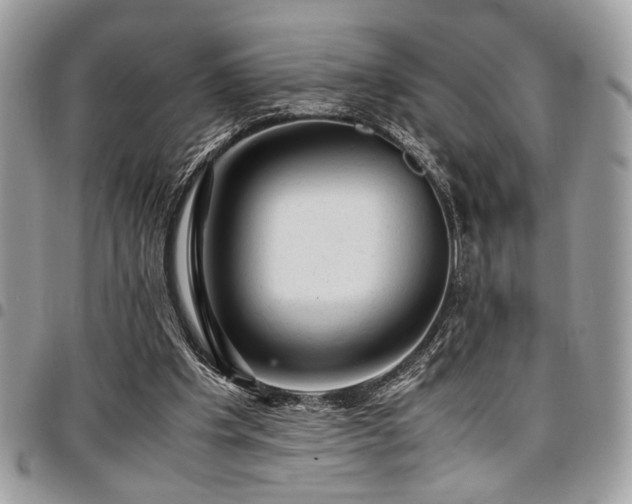 X0000096940201200802081214