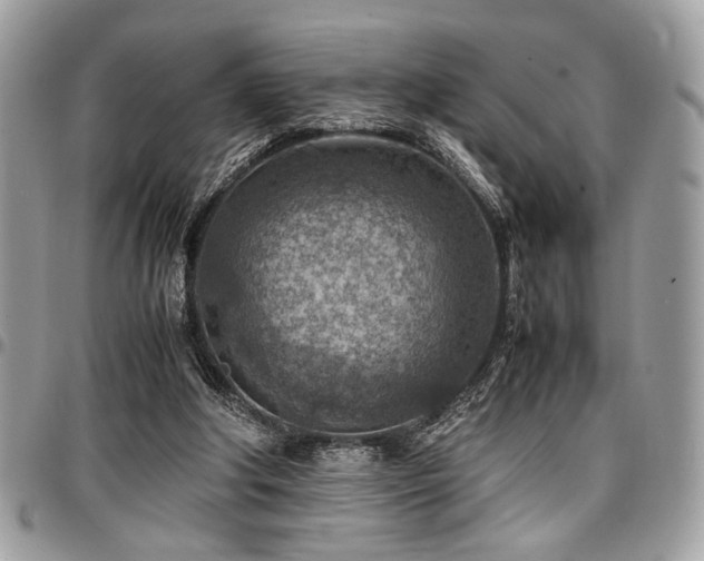 X0000096940202200802081214
