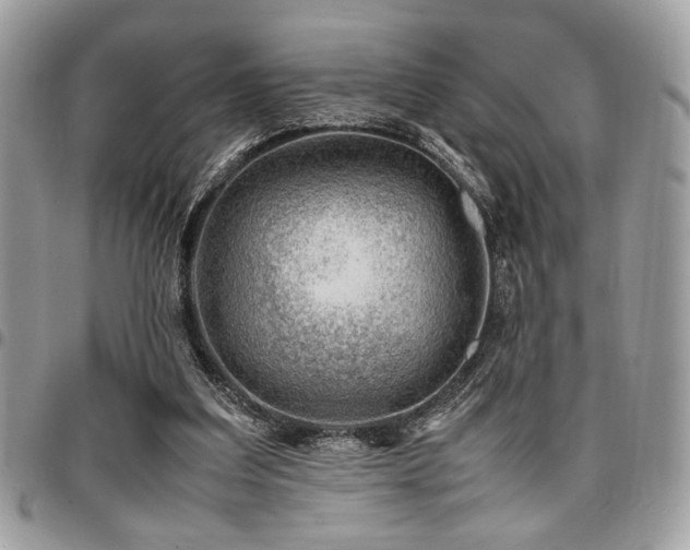 X0000096940203200802081214