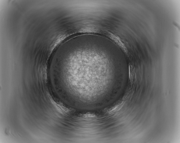 X0000096940204200802081214