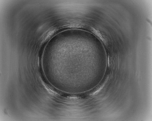X0000096940205200802081214