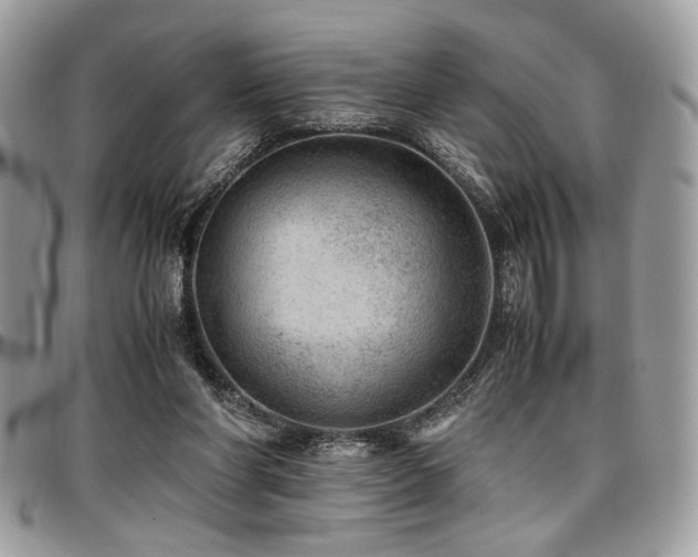 X0000096940206200802081214