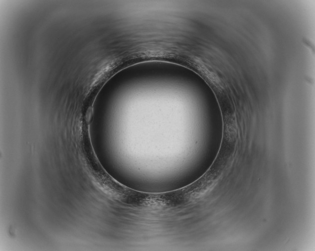 X0000096940207200802081214