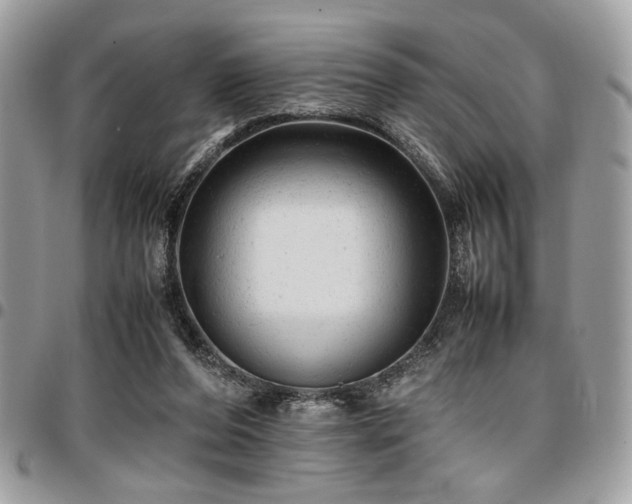 X0000096940208200802081214