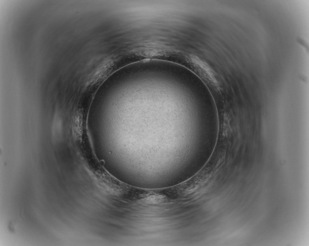 X0000096940210200802081214